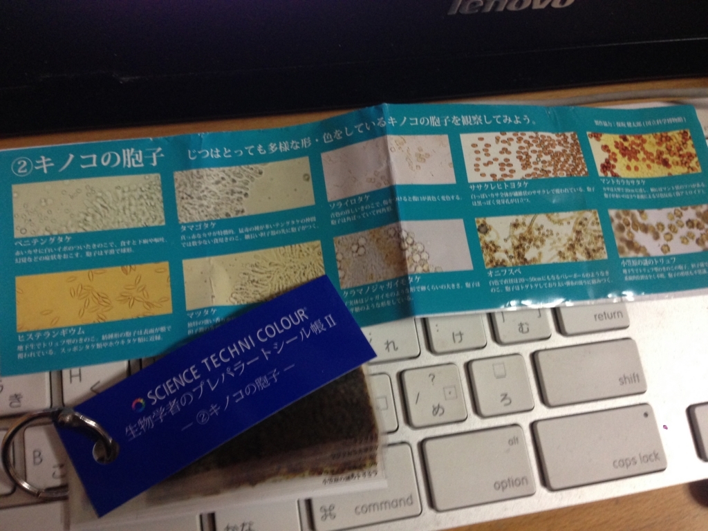 f:id:auraclover:20180307200312j:plain