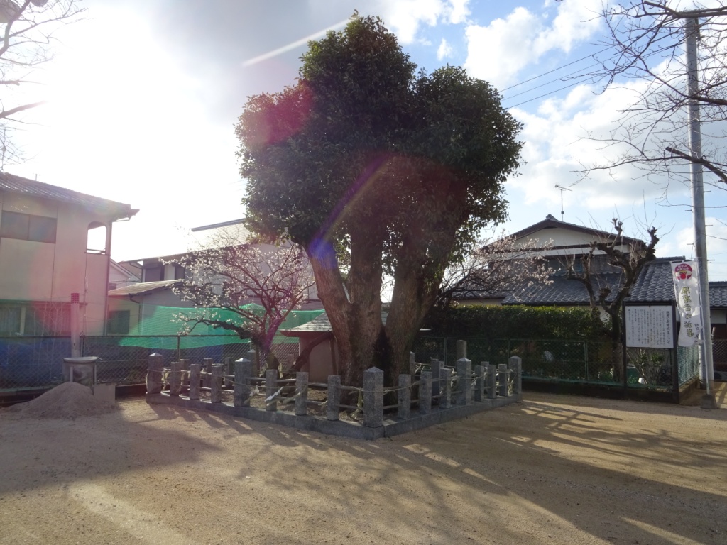 f:id:aurakei:20190312222431j:plain f:id:aurakei:20190312222431j:plain
