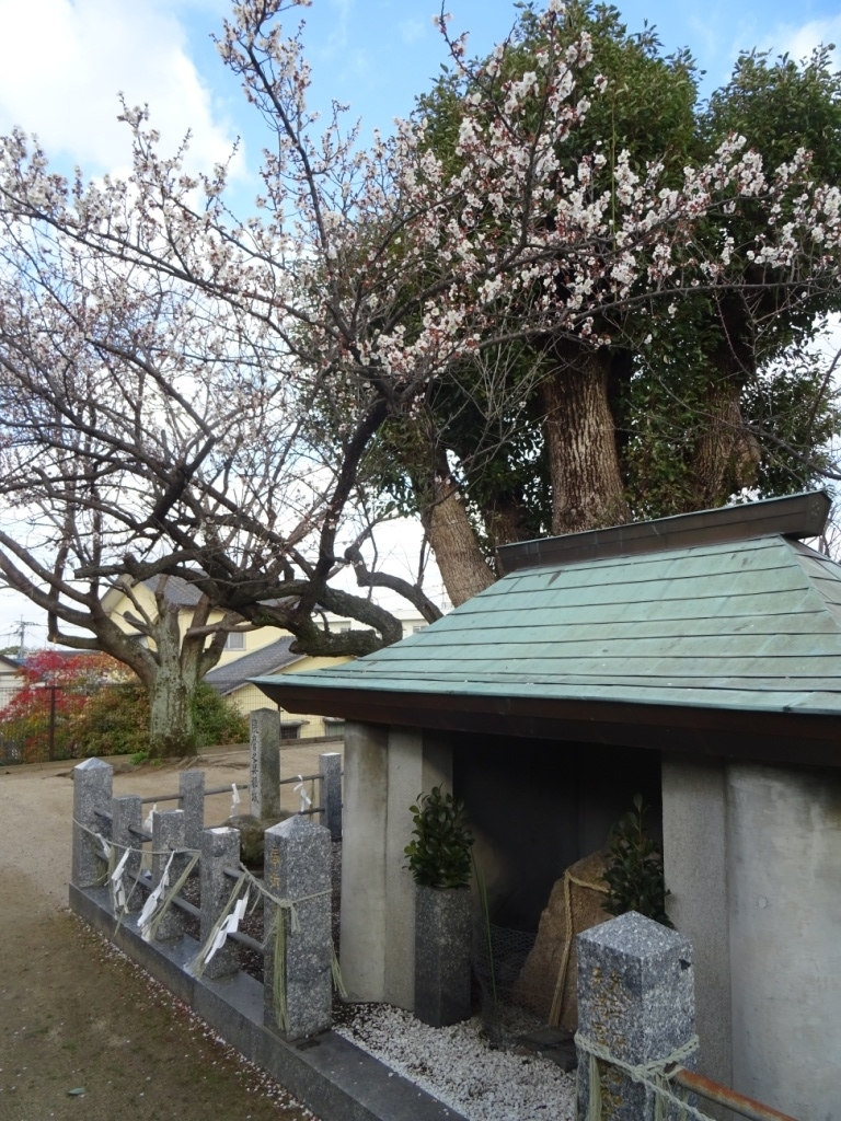 f:id:aurakei:20190312222706j:plain f:id:aurakei:20190312222706j:plain