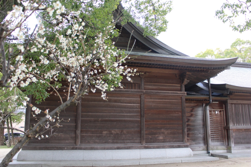f:id:aurakei:20190313212510j:plain f:id:aurakei:20190313212510j:plain