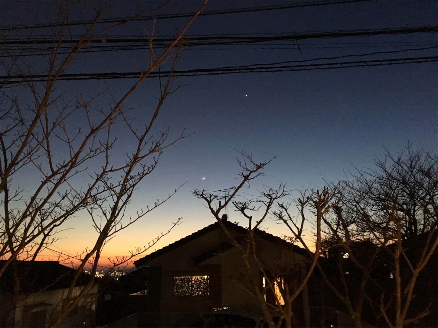 f:id:aurora3373:20170301005554j:image f:id:aurora3373:20170301005554j:image