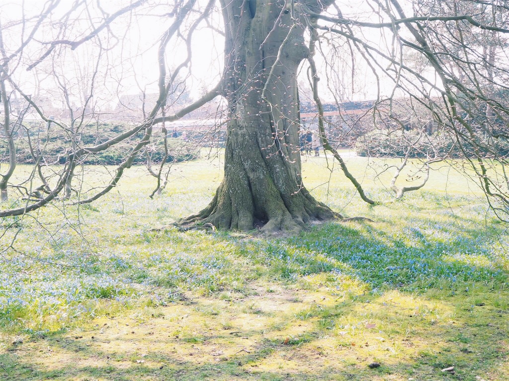 f:id:aurorai:20190410054552j:image