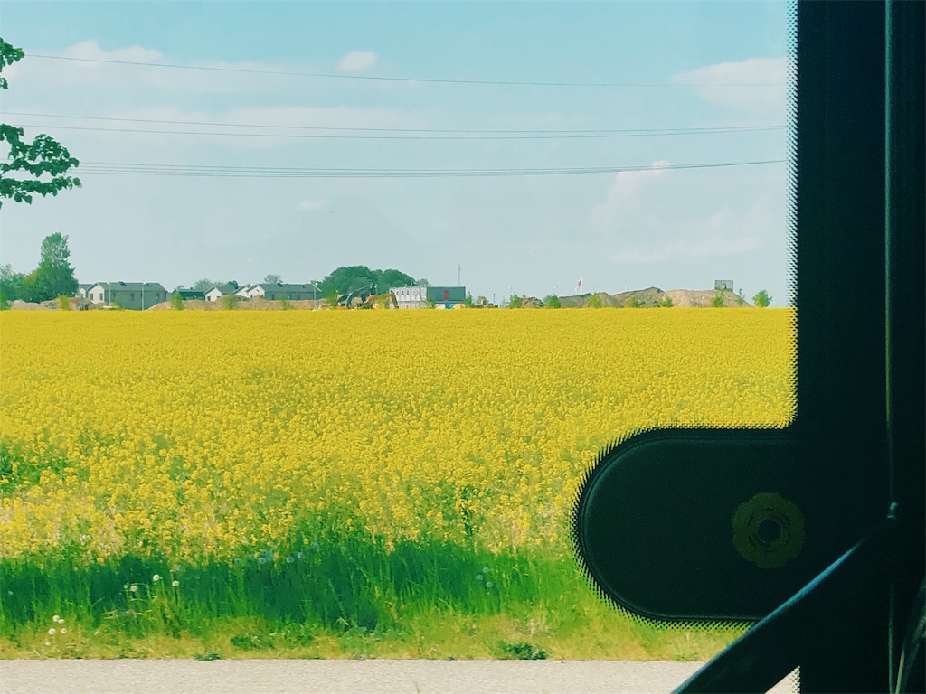 f:id:aurorai:20190615002316j:image