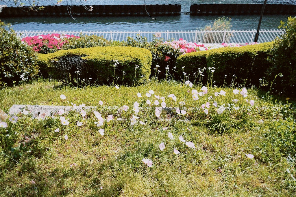 f:id:aurorai:20250810171946j:image f:id:aurorai:20250810171946j:image