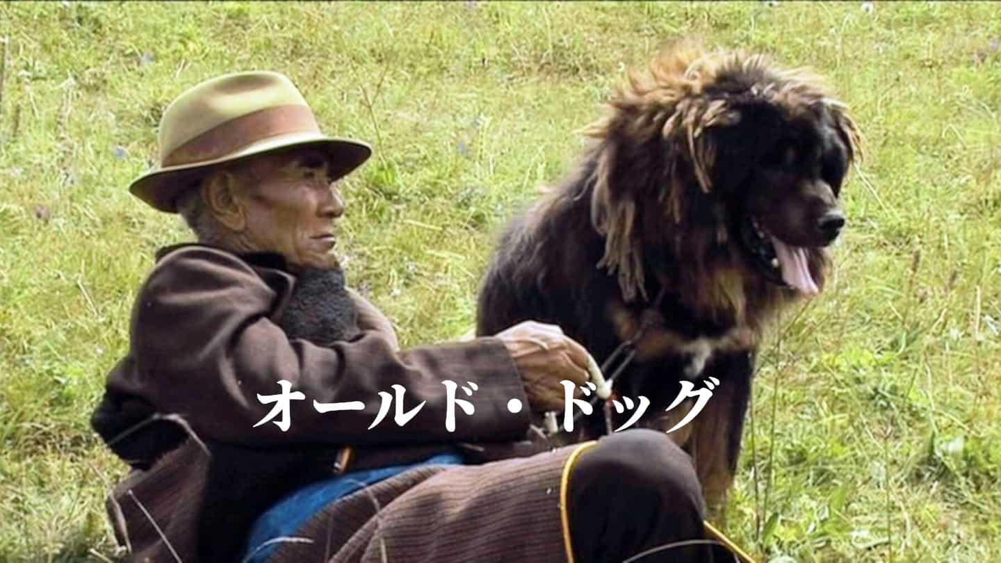 老人と犬とは 読書の人気 最新記事を集めました はてな