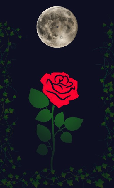 f:id:austella05:20190403203947j:image