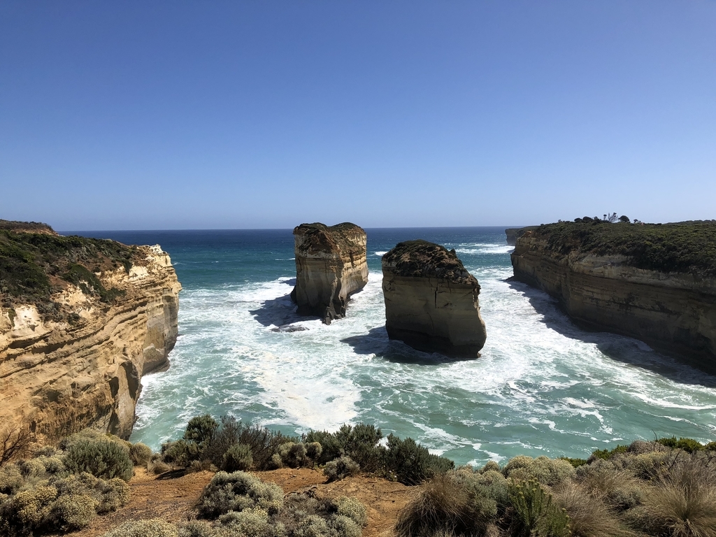 f:id:australiakei:20190202191330j:plain f:id:australiakei:20190202191330j:plain