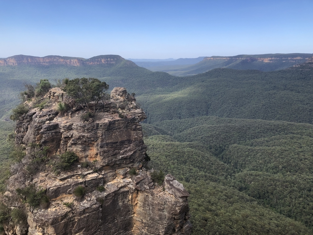 f:id:australiakei:20190202192154j:plain f:id:australiakei:20190202192154j:plain