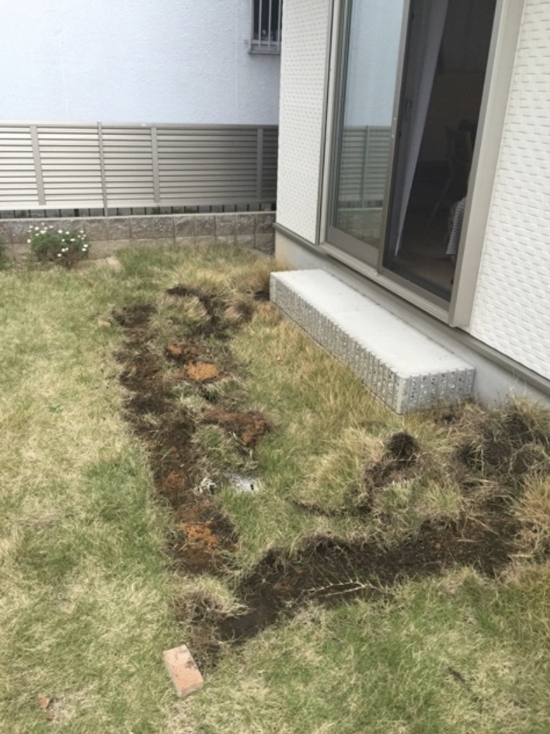 芝を掘り起こしていく