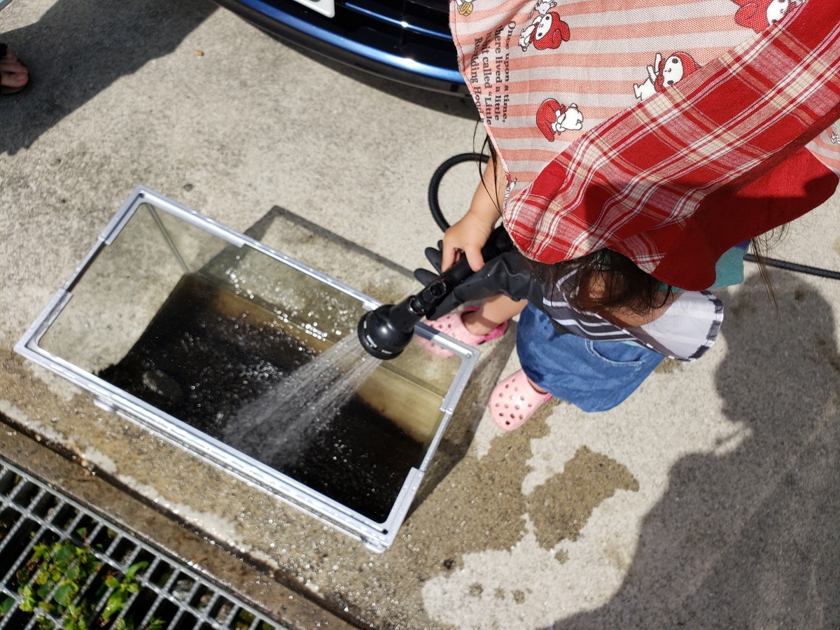 水槽を洗う子ども