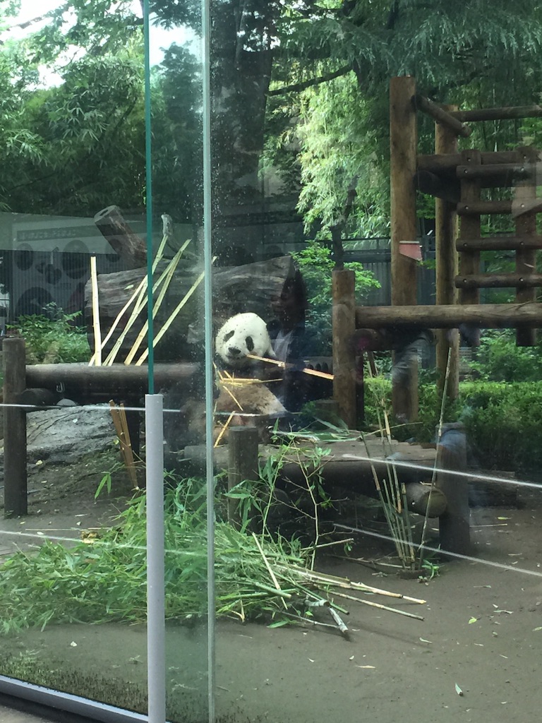 f:id:authenticlife:20150802124702j:image f:id:authenticlife:20150802124702j:image