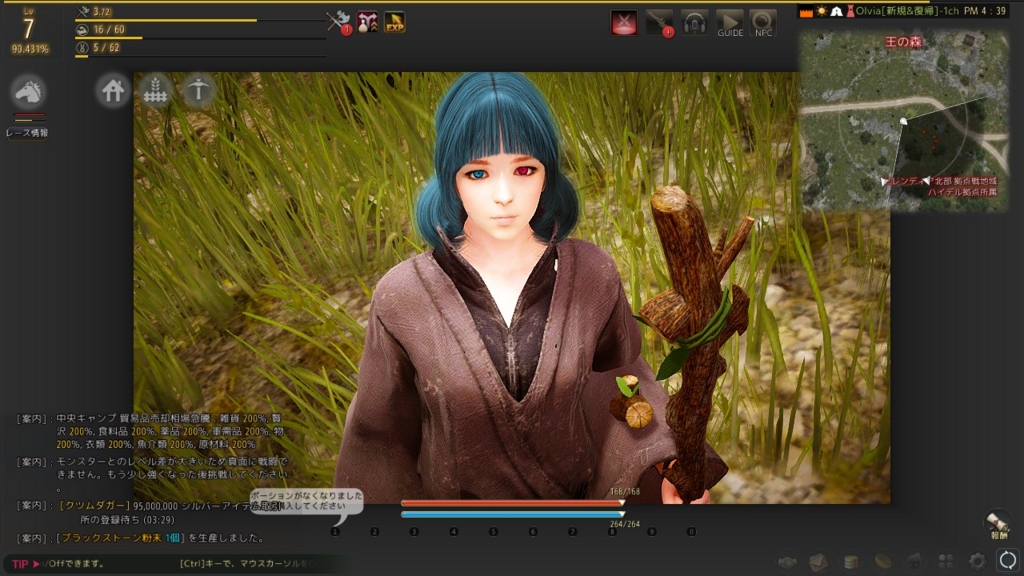 黒い砂漠 ウィッチの追想