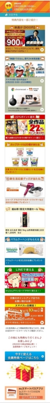 2/22スマパス