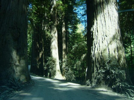 f:id:avance:20090816072638j:image