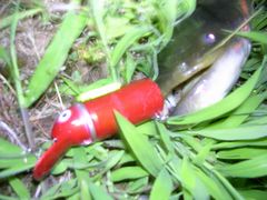 f:id:avdk101:20110627235839j:image