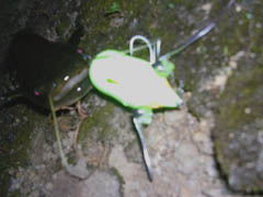 f:id:avdk101:20110701181716j:image