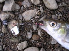 f:id:avdk101:20110705000934j:image