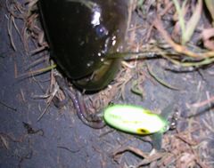 f:id:avdk101:20110716065526j:image f:id:avdk101:20110716065526j:image