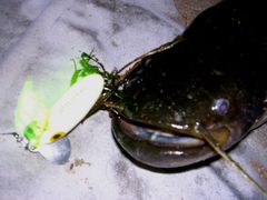 f:id:avdk101:20110811201748j:image f:id:avdk101:20110811201748j:image