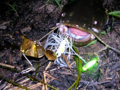 f:id:avdk101:20110818183947j:image f:id:avdk101:20110818183947j:image