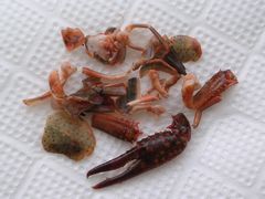 f:id:avdk101:20110925222804j:image f:id:avdk101:20110925222804j:image