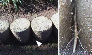 f:id:avdk101:20121230115007j:image