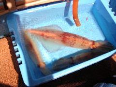f:id:avdk101:20130113130529j:image