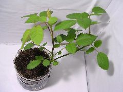f:id:avdk101:20130114063224j:image