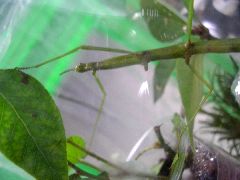 f:id:avdk101:20130117230137j:image