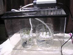 f:id:avdk101:20130202215201j:image