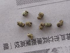 f:id:avdk101:20130203150315j:image