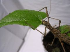 f:id:avdk101:20130220063811j:image