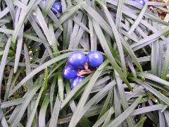 f:id:avdk101:20130224001730j:image
