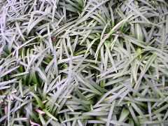 f:id:avdk101:20130224001848j:image