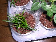 f:id:avdk101:20130224004424j:image