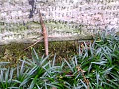 f:id:avdk101:20130224011120j:image