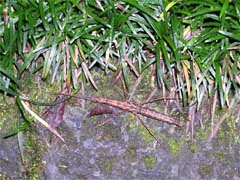 f:id:avdk101:20130224011121j:image