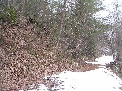 f:id:avdk101:20130225011626j:image