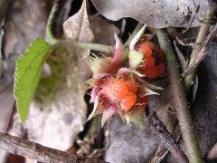 f:id:avdk101:20130225011649j:image