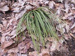 f:id:avdk101:20130225011712j:image