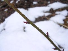 f:id:avdk101:20130225012351j:image
