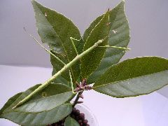 f:id:avdk101:20130301050705j:image