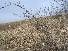 f:id:avdk101:20130303204128j:image