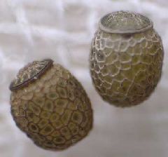 f:id:avdk101:20130304224257j:image