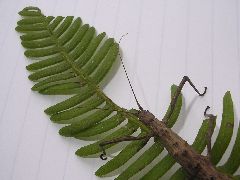 f:id:avdk101:20130309002540j:image