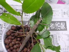 f:id:avdk101:20130316011148j:image