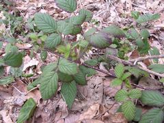 f:id:avdk101:20130317181031j:image