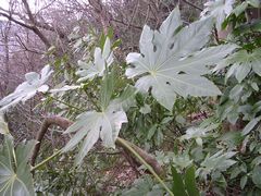 f:id:avdk101:20130317181033j:image