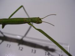 f:id:avdk101:20130318052011j:image