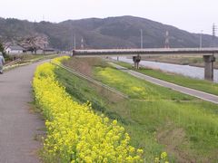 f:id:avdk101:20130409212850j:image